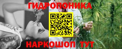 бутират Кингисепп