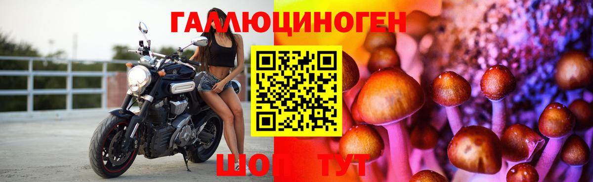 Псилоцибиновые грибы GOLDEN TEACHER Красногорск